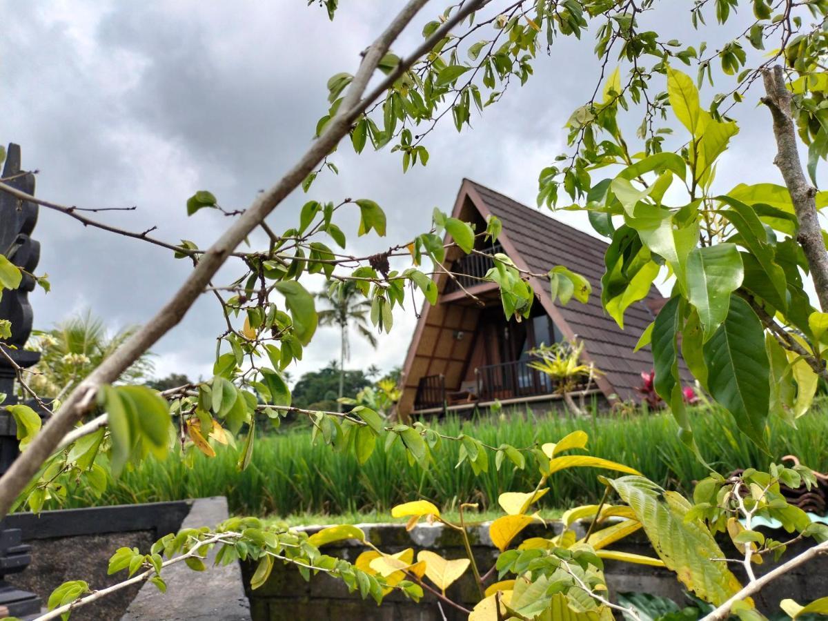 Magical Breeze Cabin Angsri Exterior photo